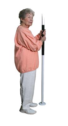Easy Assist Pole By Drive Medical 15500
